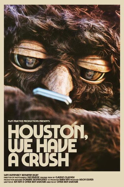 Póster de Houston, We Have a Crush