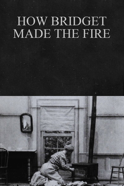 Póster de How Bridget Made the Fire