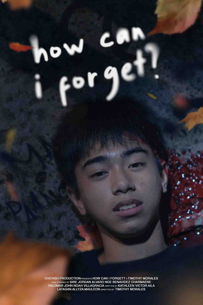 Póster de How Can I Forget?