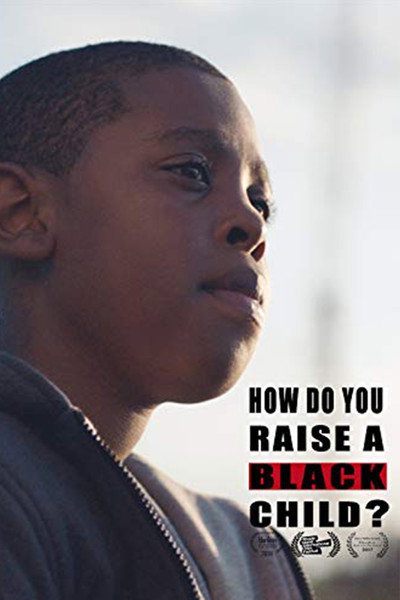 Póster de How Do You Raise A Black Child