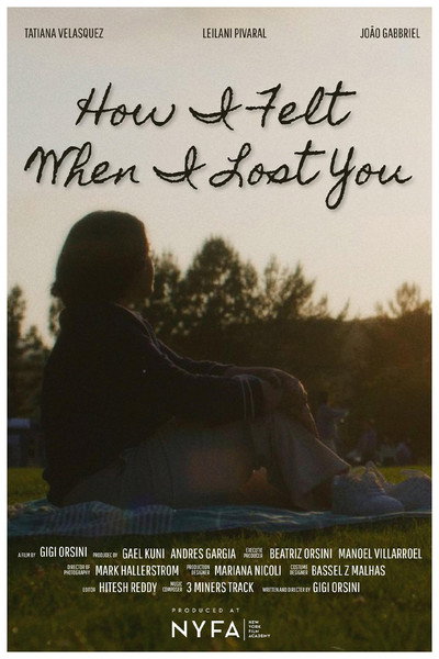 Póster de How I Felt When I Lost You
