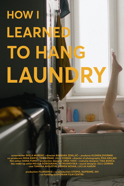 Póster de How I Learned to Hang Laundry