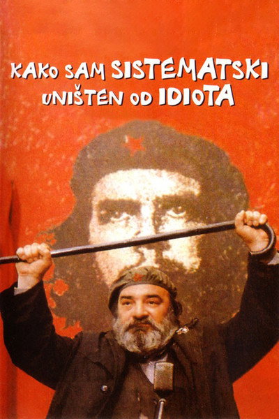 Póster de How I Was Systematically Destroyed by an Idiot