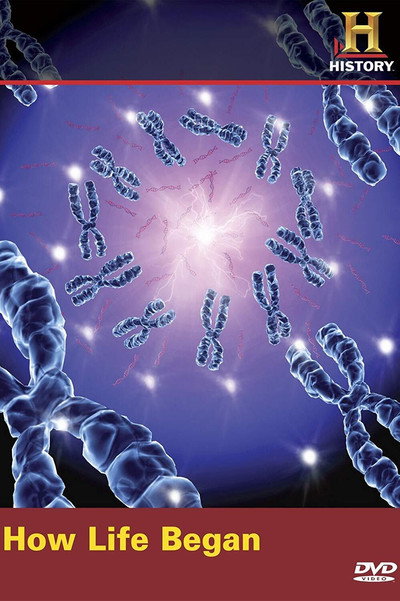 Póster de How Life Began