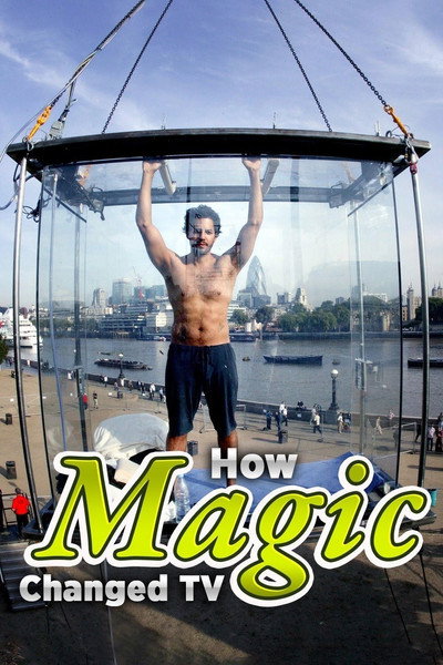 Póster de How Magic Changed TV