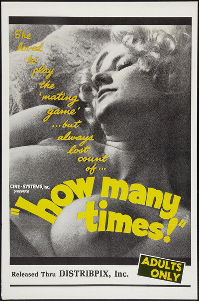 Póster de How Many Times