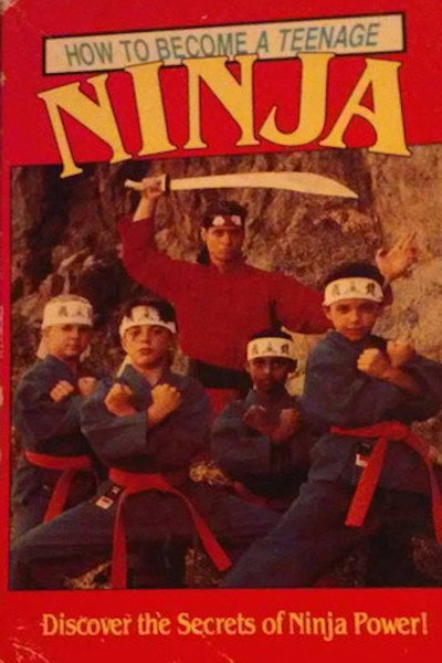 Póster de How to Become a Teenage Ninja