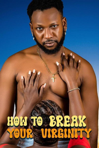 Póster de How to Break Your Virginity