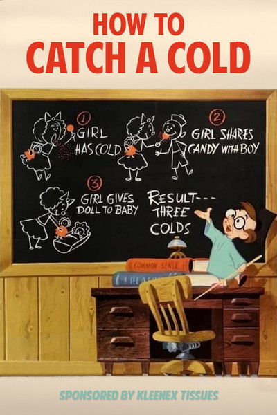 Póster de How to Catch a Cold