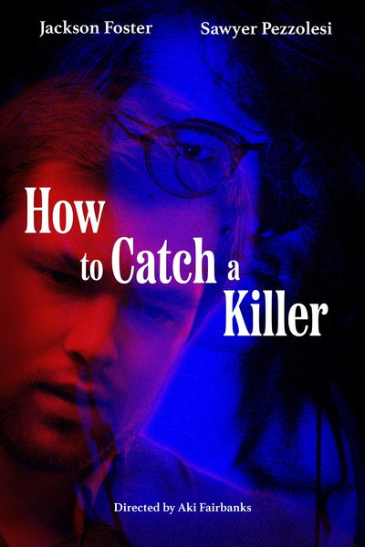 Póster de How to Catch a Killer