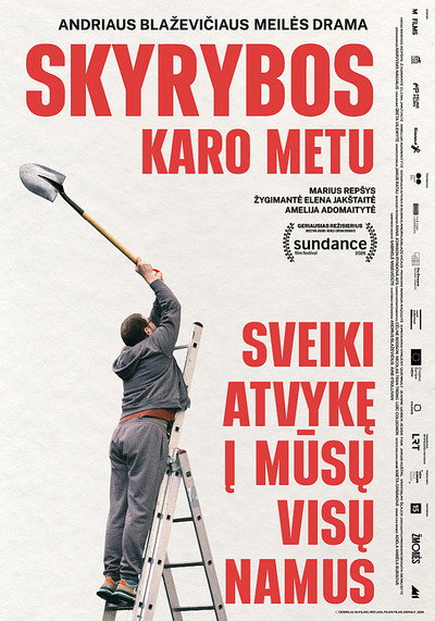 Póster de How to Divorce During the War
