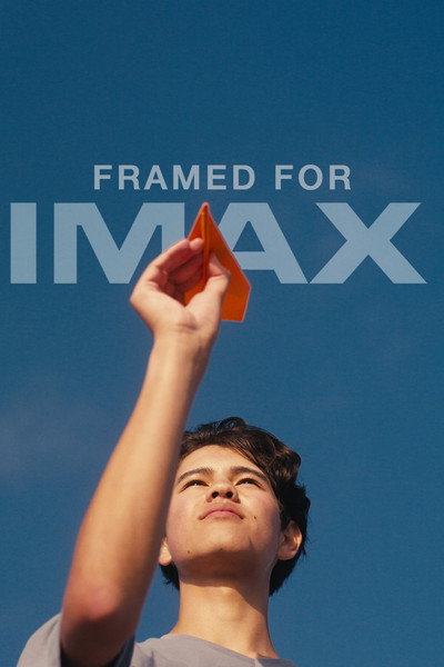 Póster de How to Fly