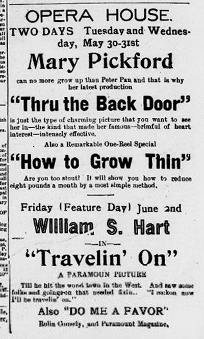 Póster de How to Grow Thin