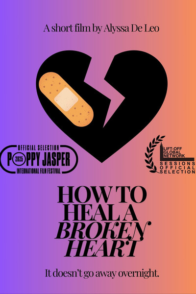 Póster de How to Heal a Broken Heart