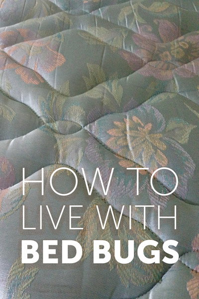 Póster de How to Live with Bed Bugs