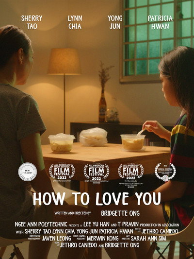 Póster de How to Love You