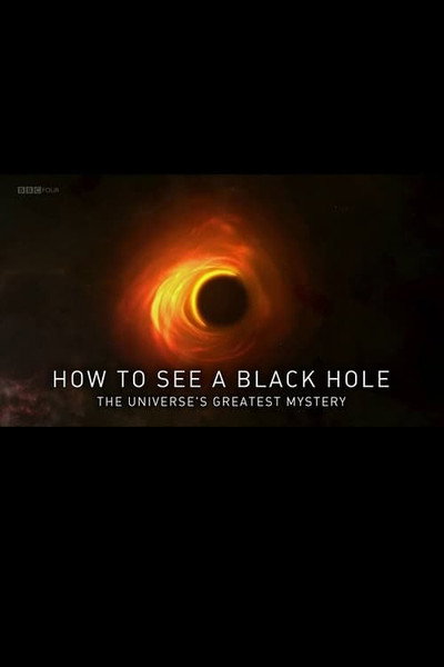 Póster de How to See a Black Hole: The Universe's Greatest Mystery