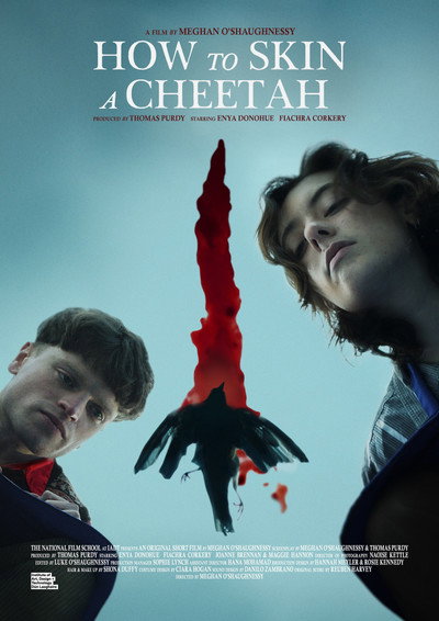 Póster de How to Skin a Cheetah