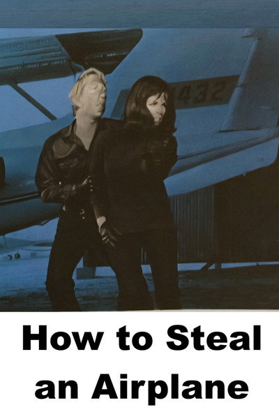 Póster de How to Steal an Airplane