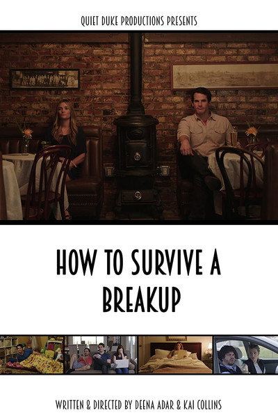 Póster de How to Survive a Breakup