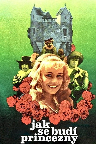 Póster de How to Wake a Princess