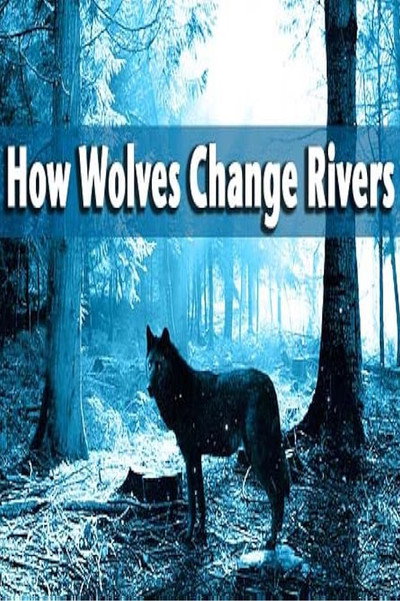 Póster de How Wolves Change Rivers