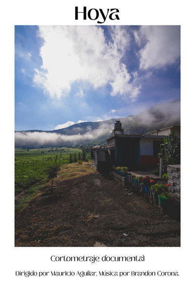 Póster de Hoya