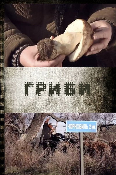 Póster de Hryby
