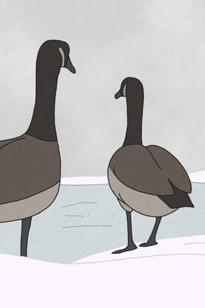 Póster de Hudson Geese