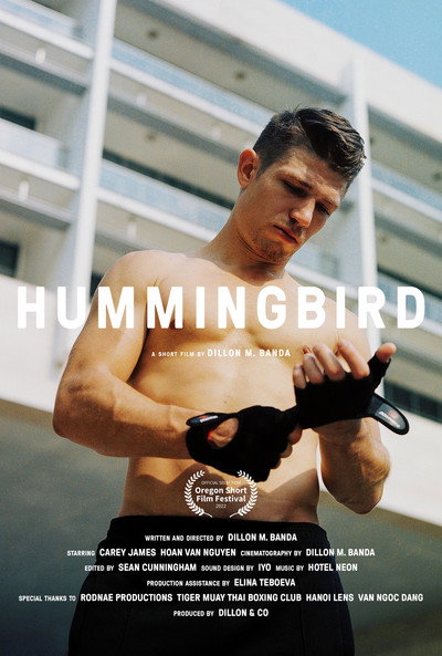 Póster de Hummingbird