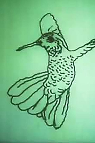 Póster de Hummingbird