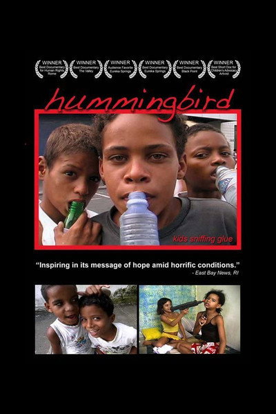 Póster de Hummingbird