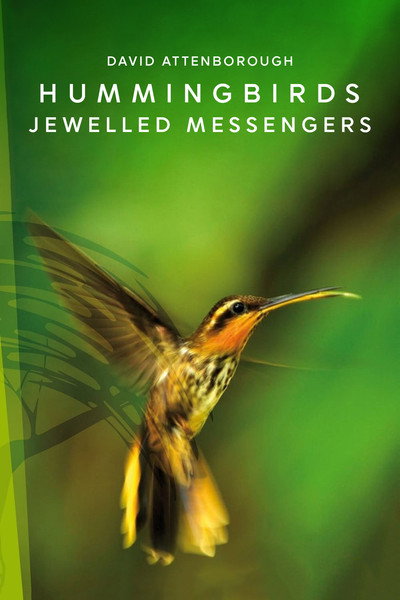 Póster de Hummingbirds: Jewelled Messengers