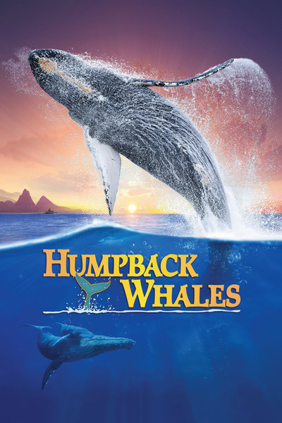 Póster de Humpback Whales