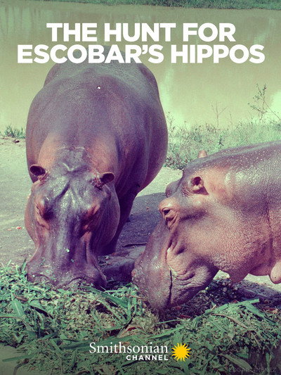 Póster de Hunt for Escobar's Hippos