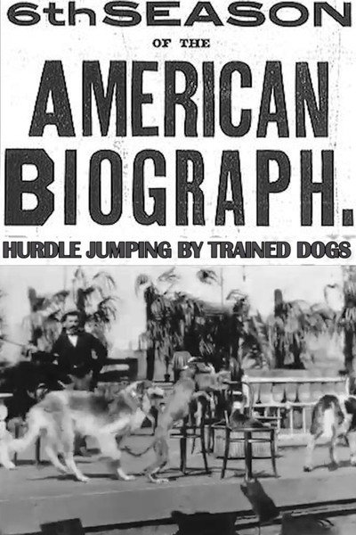 Póster de Hurdle Jumping; by Trained Dogs