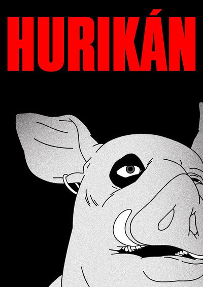 Póster de Hurricane