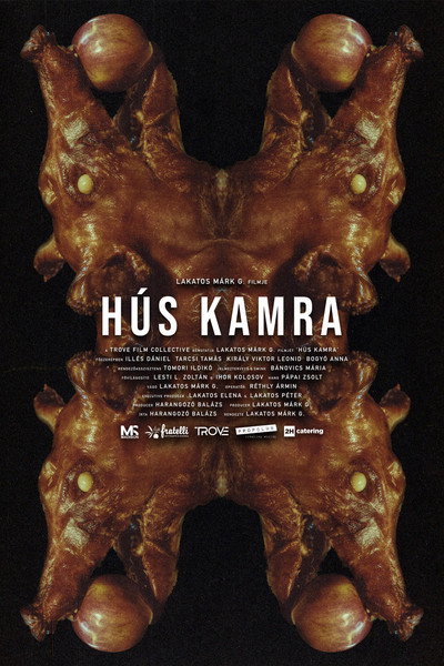 Póster de Hús Kamra