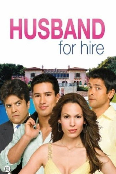 Póster de Husband for Hire