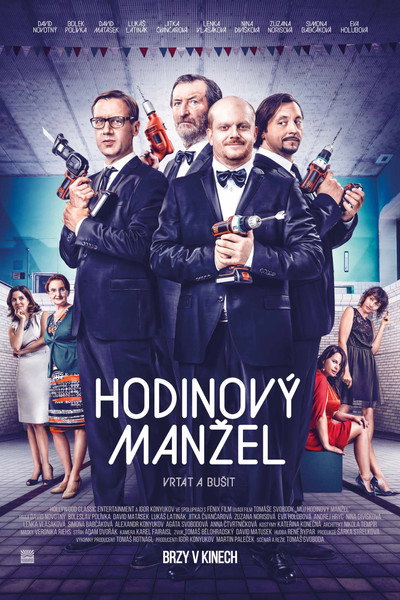 Póster de Husband to Rent