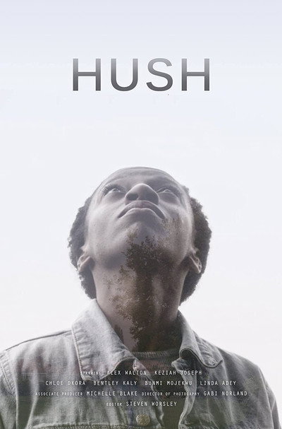 Póster de Hush