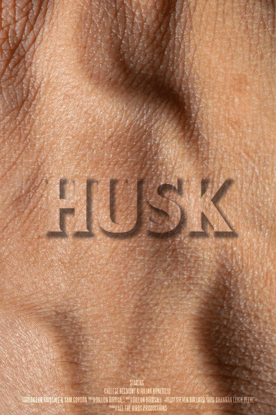 Póster de Husk