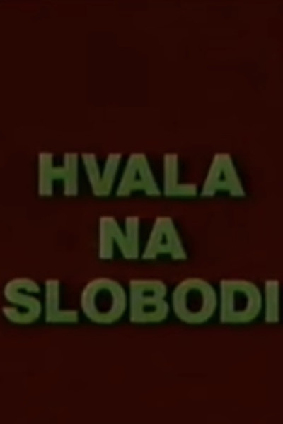 Póster de Hvala na slobodi