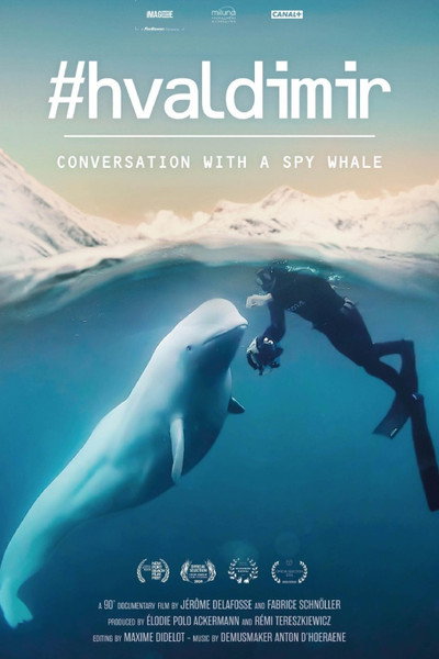 Póster de #Hvaldimir: La verdadera historia de la ballena espía
