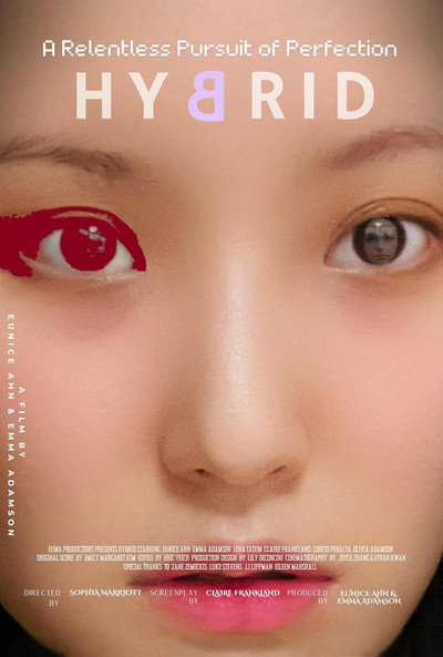 Póster de Hybrid