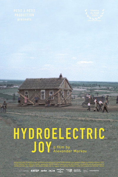 Póster de Hydroelectric Joy