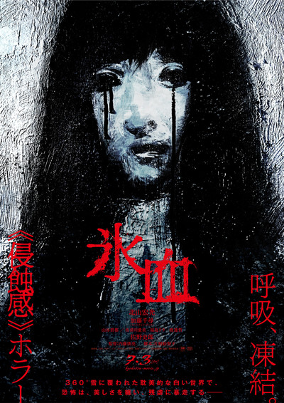 Póster de Hyoketsu