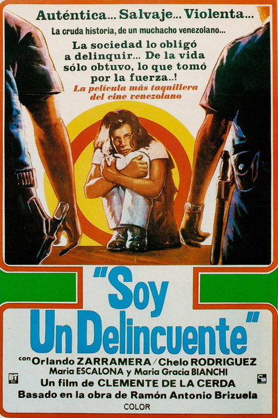 Póster de I Am a Delinquent