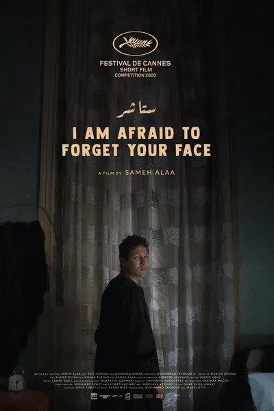 Póster de I Am Afraid to Forget Your Face