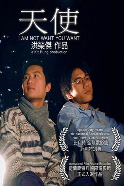 Póster de I Am Not What You Want
